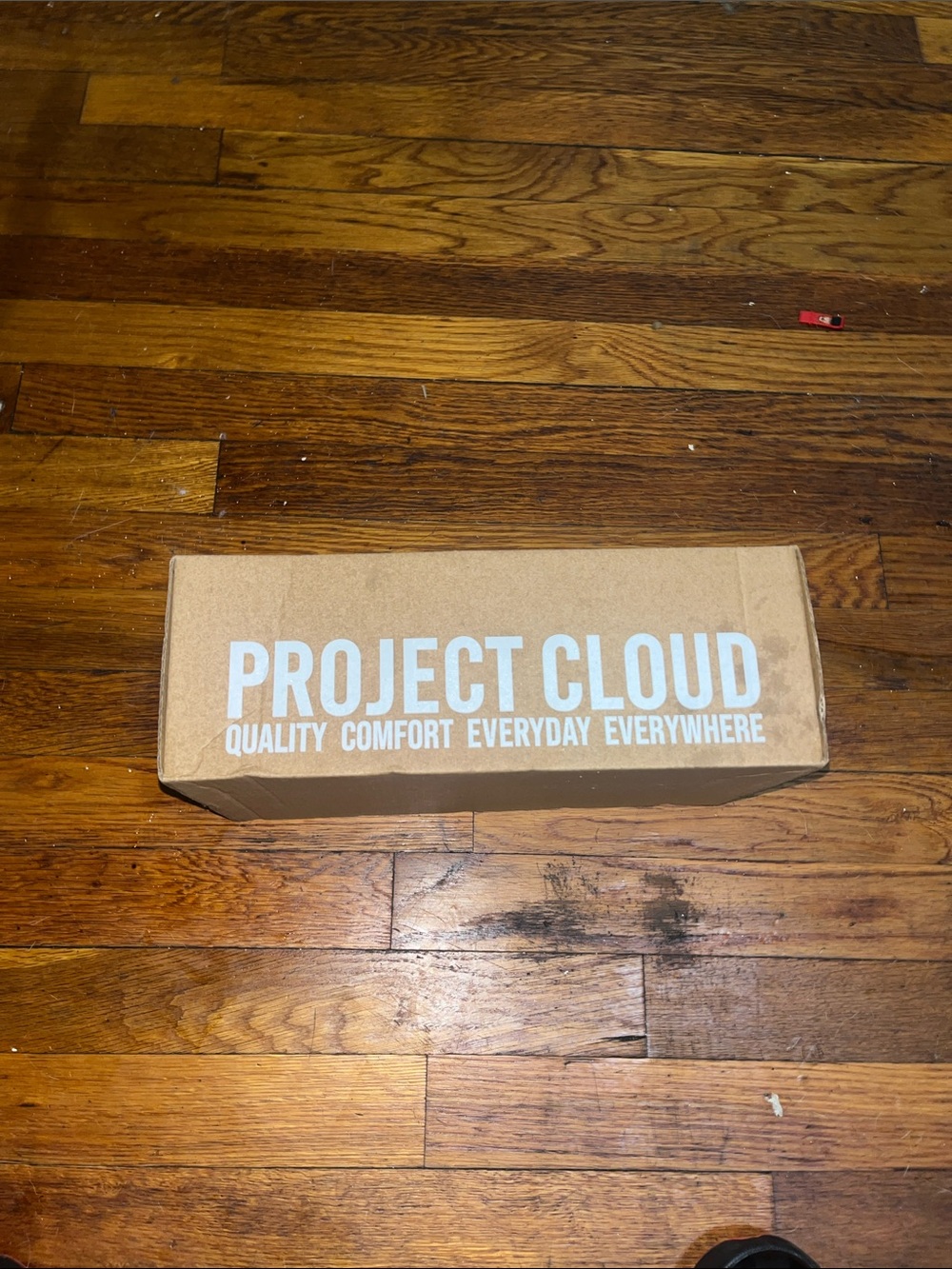 Project Cloud Black Dress Mary Jane Shoes